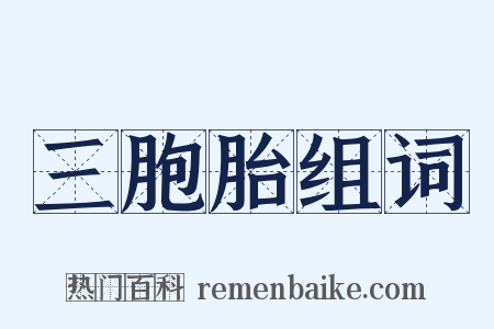 三胞胎组词是什么意思的图片